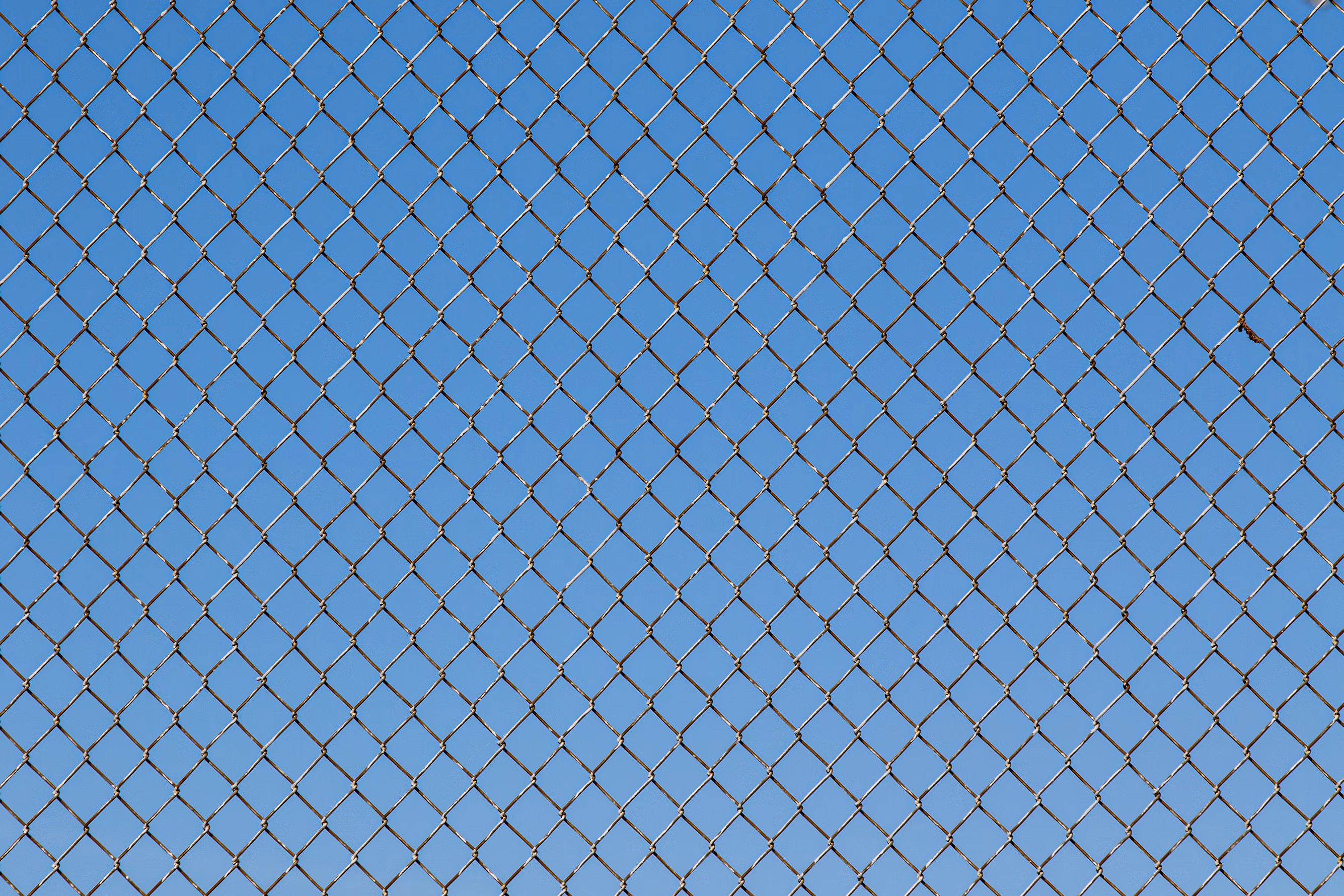 Chain Link Fence