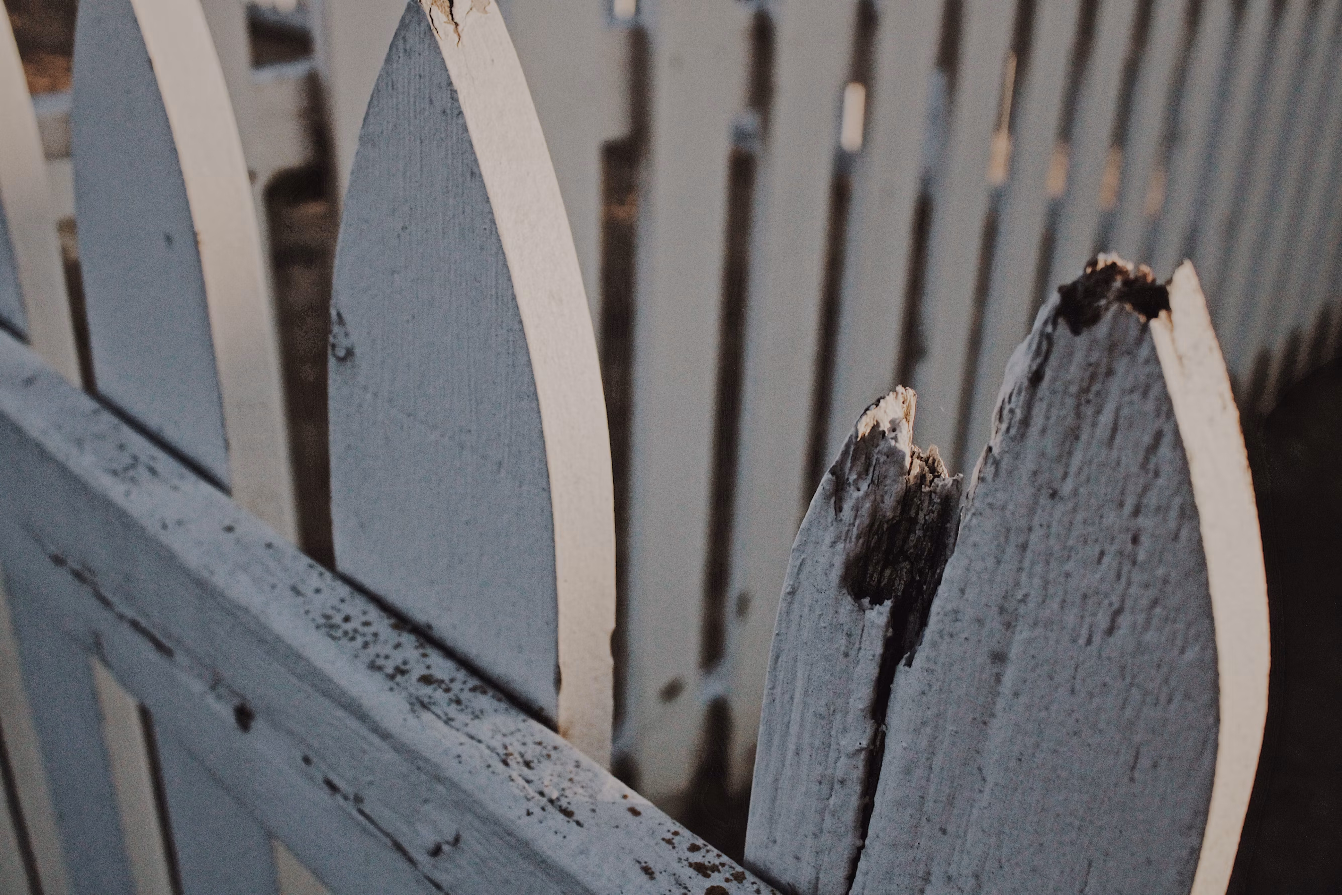 Vinyl Fence